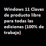 Windows 11